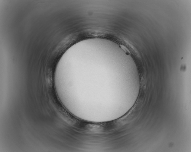 X0000096690170200802261549