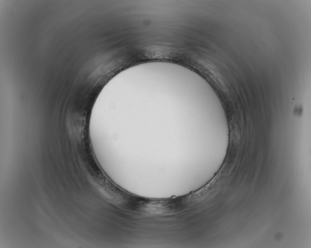 X0000096690171200802261549