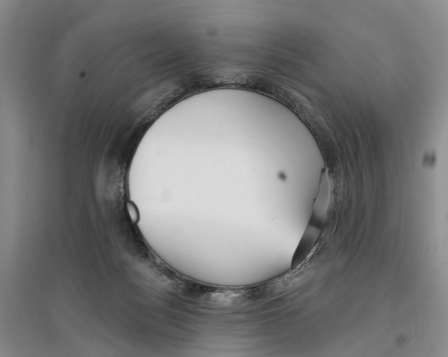 X0000096690172200802261549