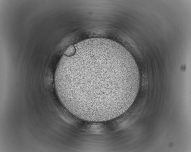 X0000096690173200802261549