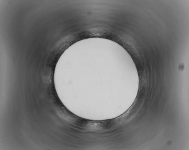 X0000096690174200802261549