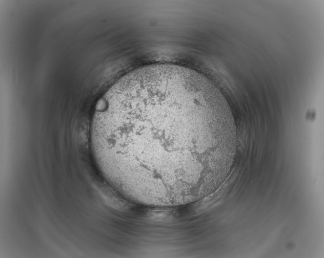 X0000096690175200802261549