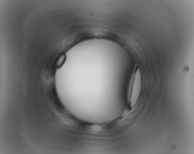 X0000096690176200802261549