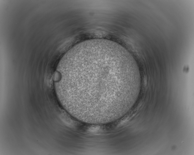 X0000096690177200802261549