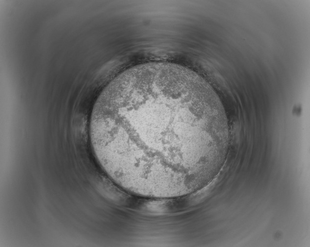 X0000096690178200802261549