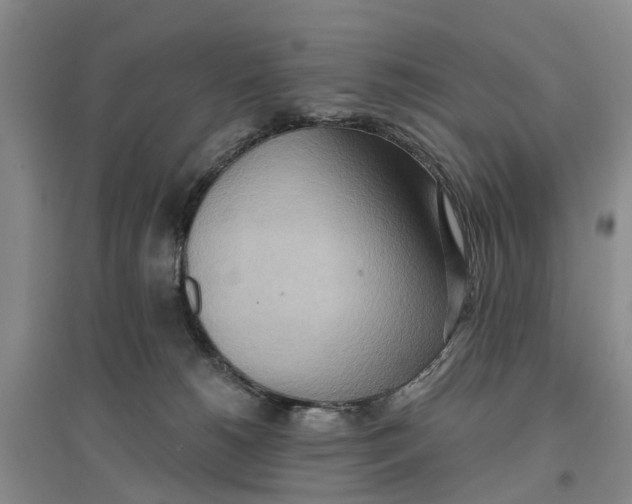 X0000096690180200802261549