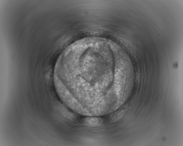 X0000096690181200802261549