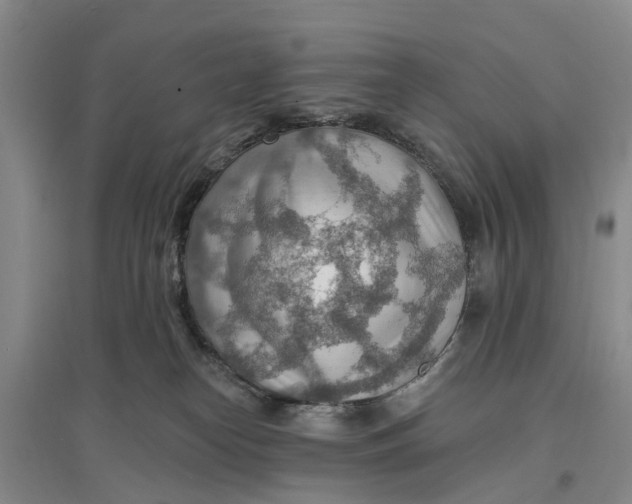 X0000096690182200802261549