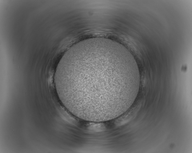 X0000096690185200802261549