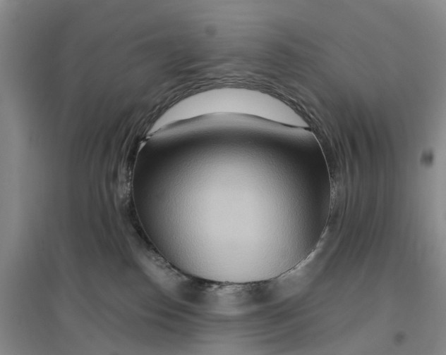 X0000096690186200802261549