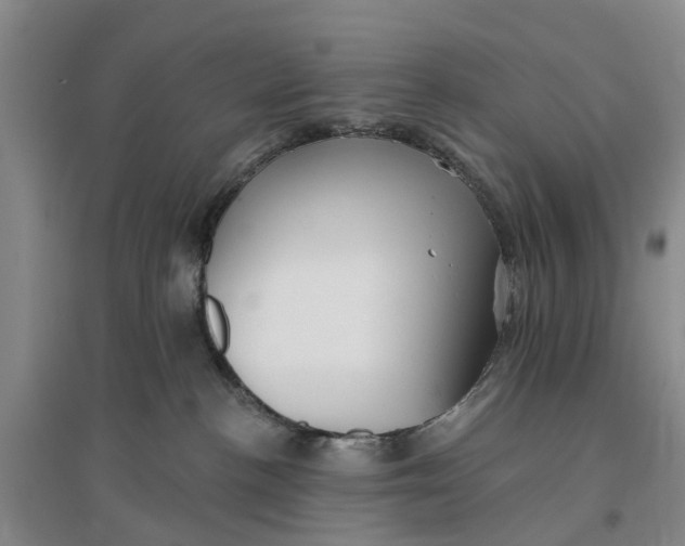 X0000096690188200802261549