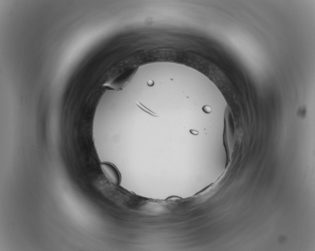 X0000096690190200802261549