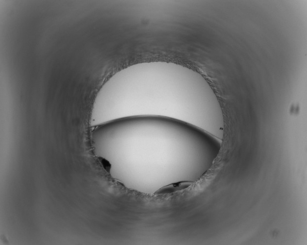 X0000096690192200802261549