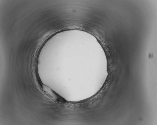 X0000096690193200802261549