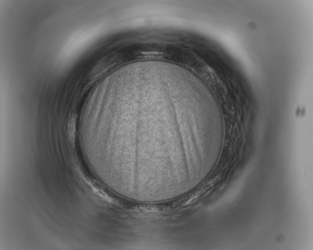 X0000096690194200802261549