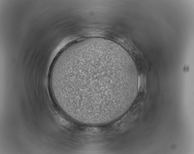 X0000096690195200802261549