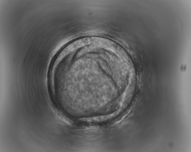 X0000096690196200802261549