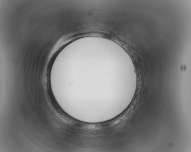 X0000096690198200802261549