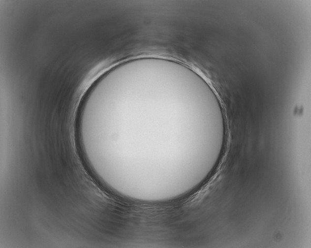 X0000096690199200802261549