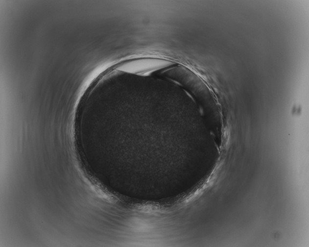 X0000096690200200802261549