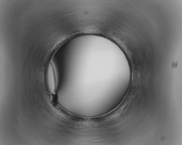 X0000096690201200802261549