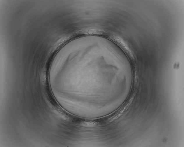 X0000096690202200802261549