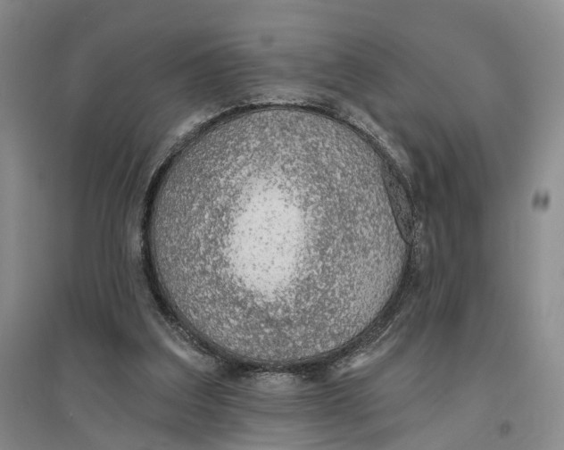 X0000096690203200802261549