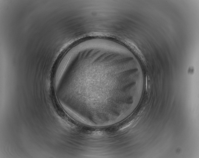 X0000096690204200802261549