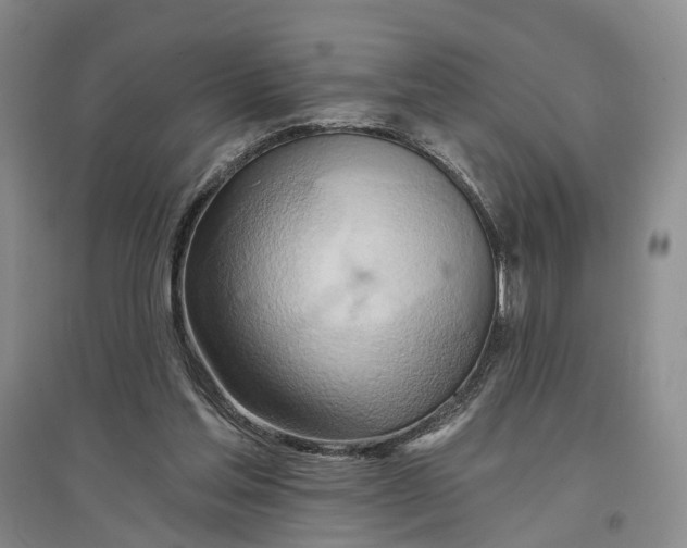 X0000096690205200802261549