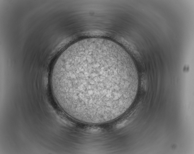 X0000096690206200802261548