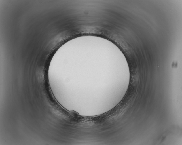 X0000096690207200802261548