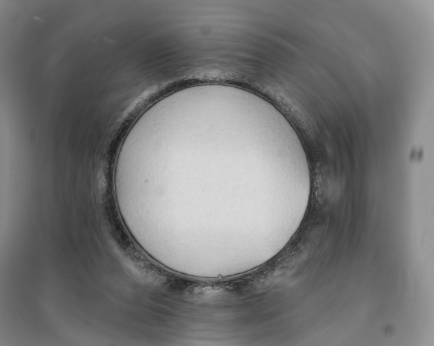 X0000096690208200802261548