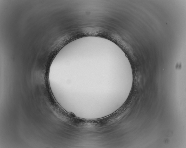 X0000096690209200802261548