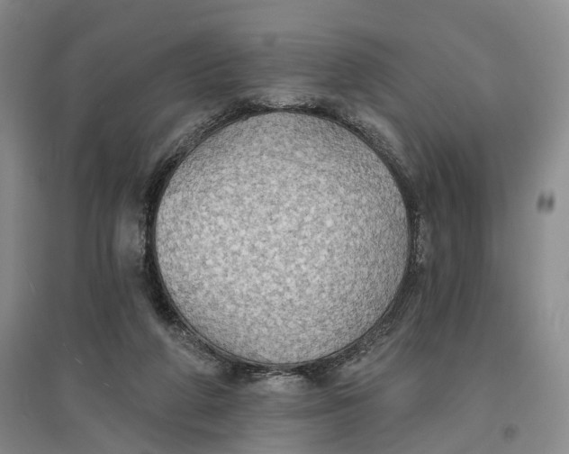 X0000096690210200802261548