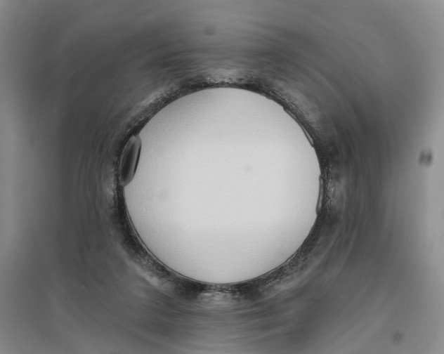 X0000096690211200802261548