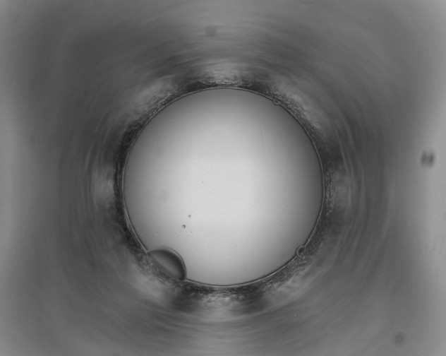 X0000096690213200802261548