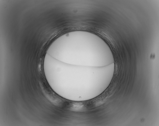 X0000096690214200802261548