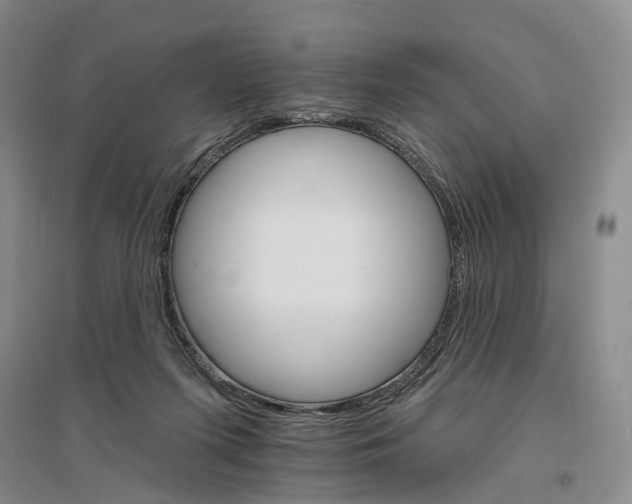 X0000096690215200802261548