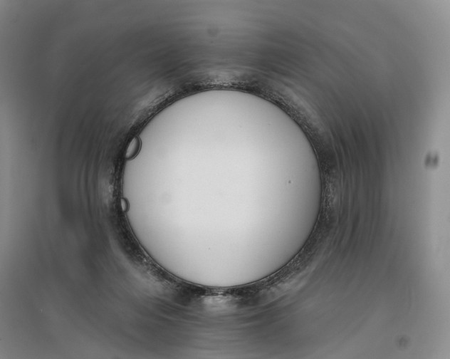 X0000096690216200802261548