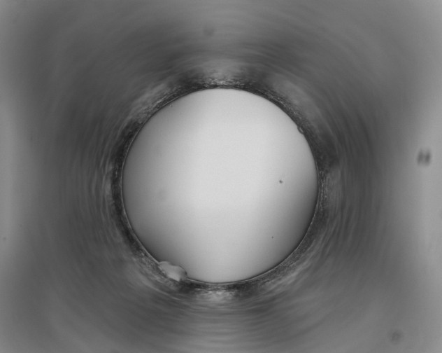 X0000096690217200802261548