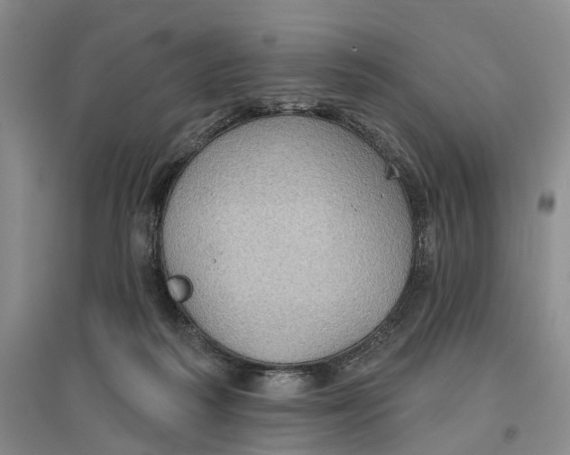 X0000096690218200802261548