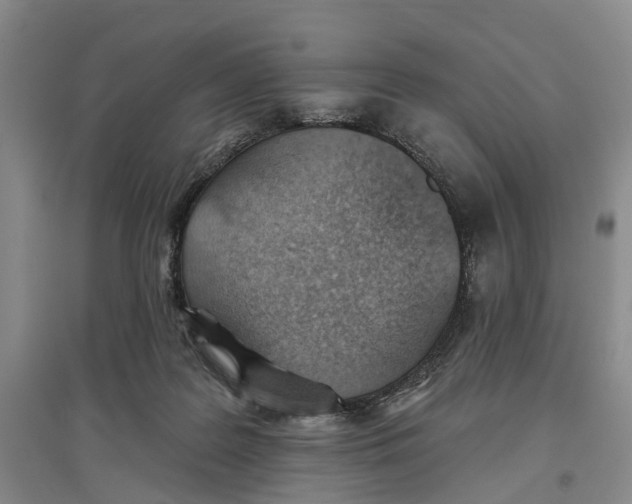 X0000096690219200802261548