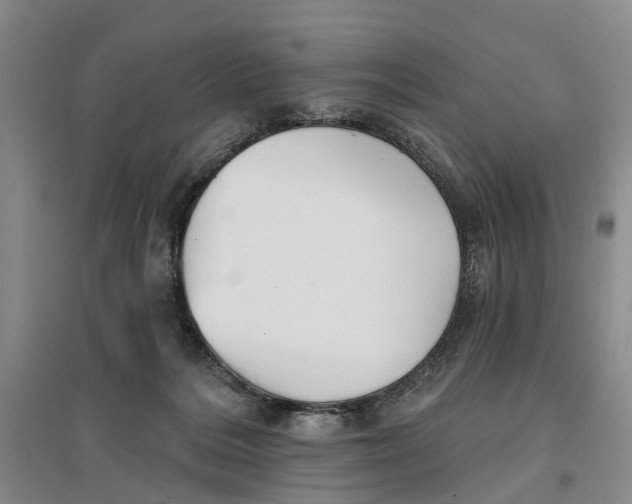 X0000096690220200802261548