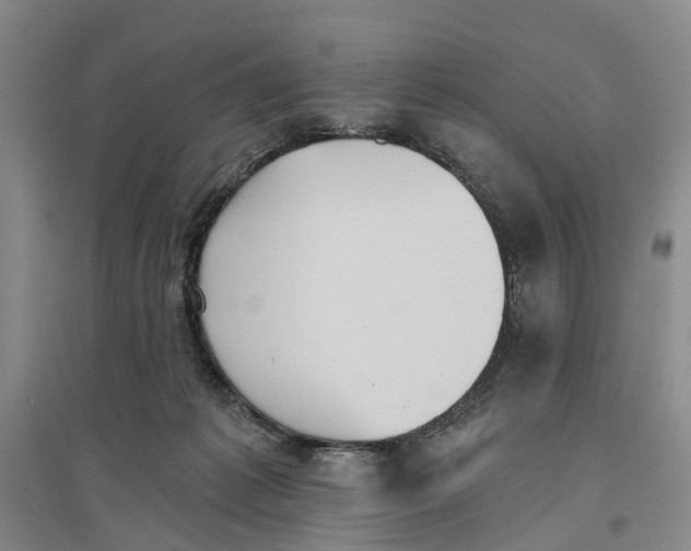 X0000096690221200802261548