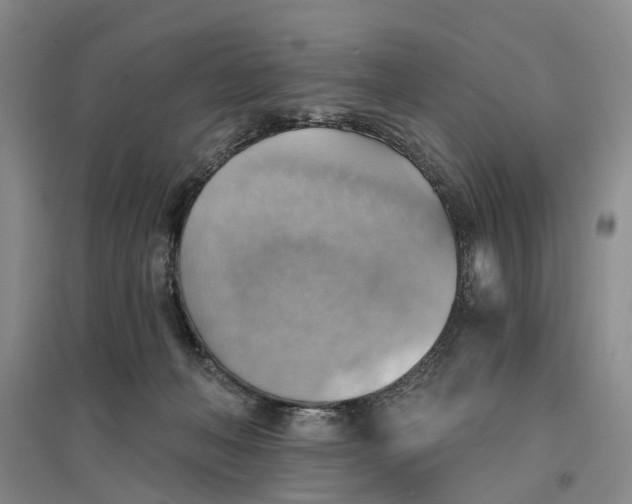 X0000096690222200802261548