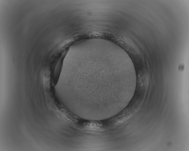 X0000096690223200802261548