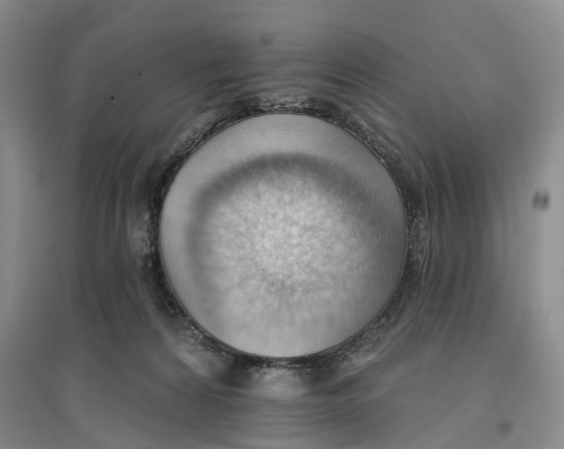 X0000096690224200802261548