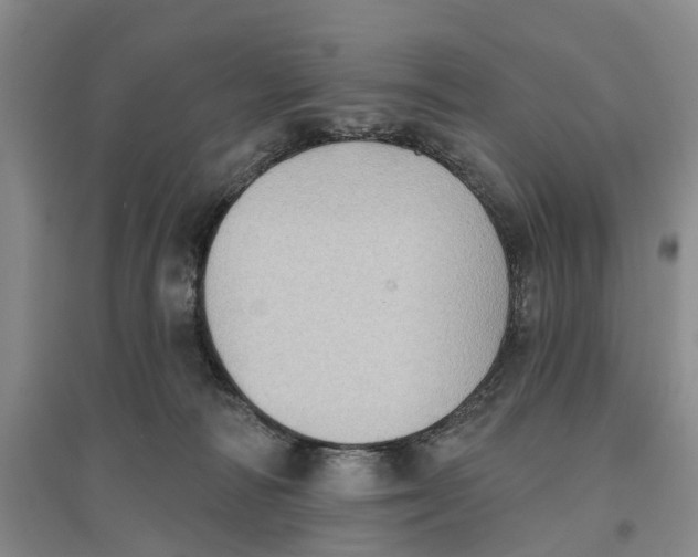 X0000096690226200802261548