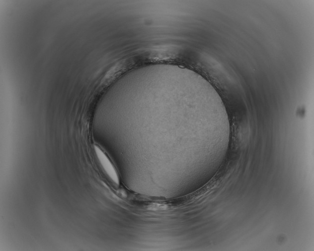 X0000096690227200802261548