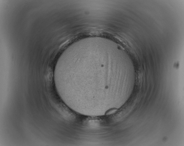 X0000096690228200802261548